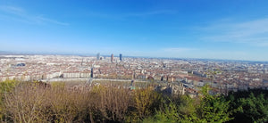 Bierexpertise in Lyon - Mein Fazit als professioneller Bewerter bei der Concour de Lyon