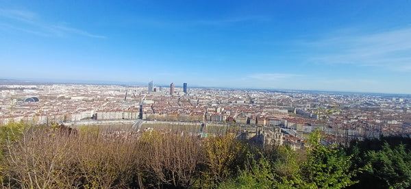 Bierexpertise in Lyon - Mein Fazit als professioneller Bewerter bei der Concour de Lyon
