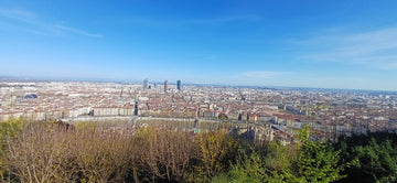 Bierexpertise in Lyon - Mein Fazit als professioneller Bewerter bei der Concour de Lyon